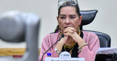 Denise Dresser impulsará juicio político contra Guadalupe Taddei por su gestión en el INE (Video)