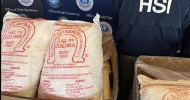 EU decomisa 1.5 toneladas de metanfetamina ocultas en costales de “sal” en la frontera de Laredo