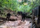 Decomisan 48 drones y equipo táctico en El Rosario; destruyen narcolaboratorio en dos operaciones