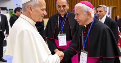 Episcopado mexicano presenta al papa León XIV un libro con rostros e historias de personas desaparecidas