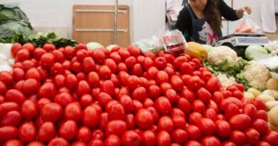 México cuestiona restricciones comerciales de EU al tomate mexicano; perjudica a ambos países