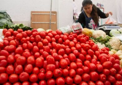 México cuestiona restricciones comerciales de EU al tomate mexicano; perjudica a ambos países