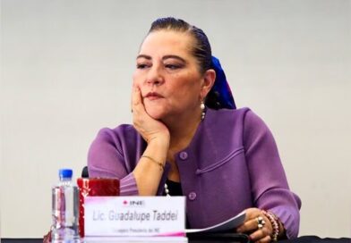 Error o perversidad: renuncia de Guadalupe Taddei aplaza convocatoria para relevo en el INE